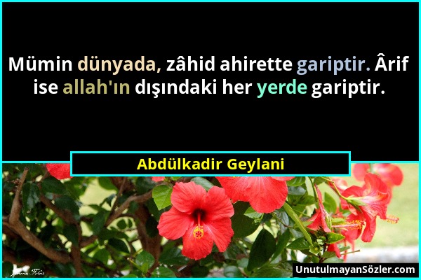 Abdülkadir Geylani - Mümin dünyada, zâhid ahirette gariptir. Ârif ise allah'ın dışındaki her yerde gariptir....