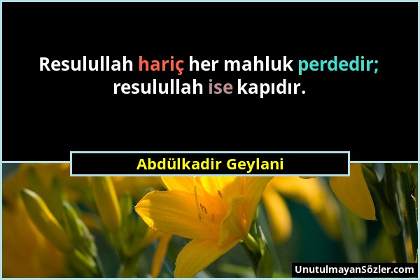 Abdülkadir Geylani - Resulullah hariç her mahluk perdedir; resulullah ise kapıdır....