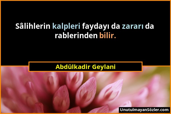 Abdülkadir Geylani - Sâlihlerin kalpleri faydayı da zararı da rablerinden bilir....