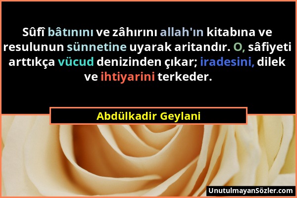 Abdülkadir Geylani - Sûfî bâtınını ve zâhırını allah'ın kitabına ve resulunun sünnetine uyarak aritandır. O, sâfiyeti arttıkça vücud denizinden çıkar;...