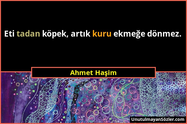 Ahmet Haşim - Eti tadan köpek, artık kuru ekmeğe dönmez....