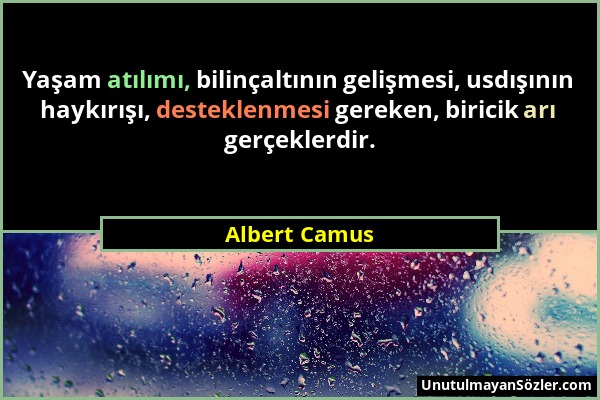 Albert Camus - Yaşam atılımı, bilinçaltının gelişmesi, usdışının haykırışı, desteklenmesi gereken, biricik arı gerçeklerdir....