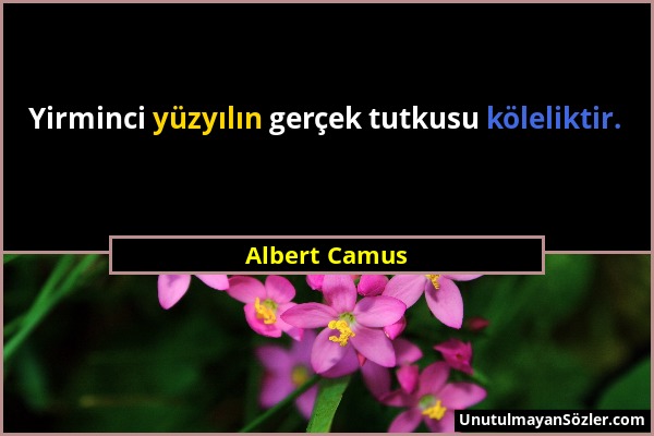 Albert Camus - Yirminci yüzyılın gerçek tutkusu köleliktir....