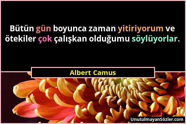 Albert Camus - Bütün gün boyunca zaman yitiriyorum ve ötekiler çok çalışkan olduğumu söylüyorlar....