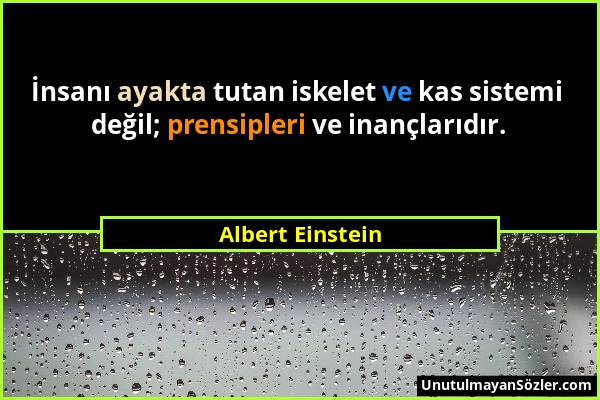 Albert Einstein - İnsanı ayakta tutan iskelet ve kas sistemi değil; prensipleri ve inançlarıdır....