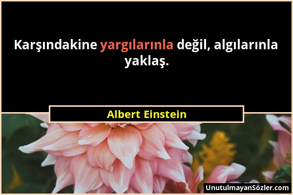 Albert Einstein - Karşındakine yargılarınla değil, algılarınla yaklaş....