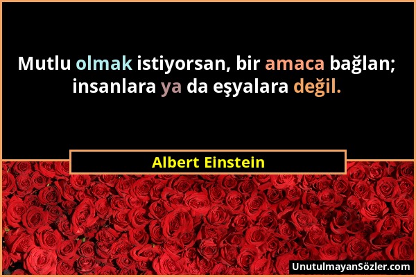 Albert Einstein - Mutlu olmak istiyorsan, bir amaca bağlan; insanlara ya da eşyalara değil....