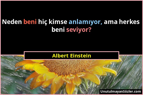 Albert Einstein - Neden beni hiç kimse anlamıyor, ama herkes beni seviyor?...