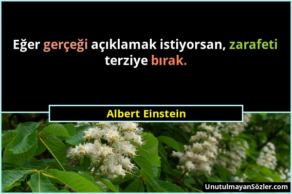 Albert Einstein - Eğer gerçeği açıklamak istiyorsan, zarafeti terziye bırak....