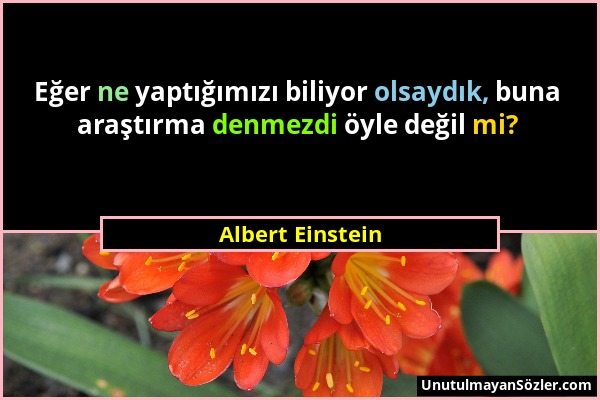 Albert Einstein - Eğer ne yaptığımızı biliyor olsaydık, buna araştırma denmezdi öyle değil mi?...