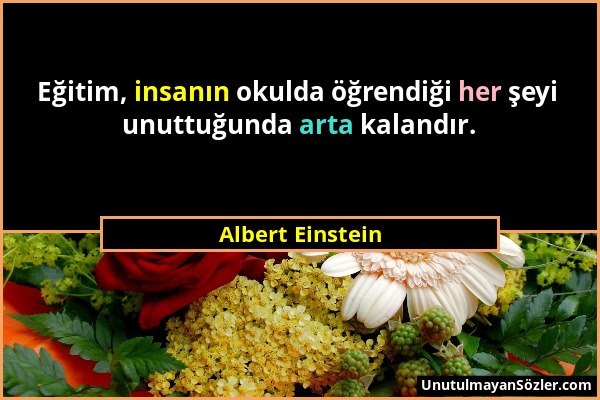 Albert Einstein - Eğitim, insanın okulda öğrendiği her şeyi unuttuğunda arta kalandır....