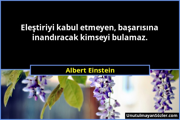 Albert Einstein - Eleştiriyi kabul etmeyen, başarısına inandıracak kimseyi bulamaz....