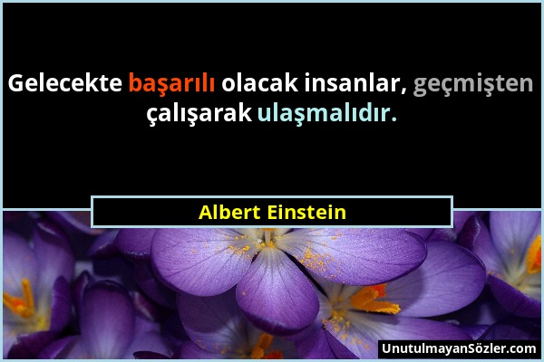 Albert Einstein - Gelecekte başarılı olacak insanlar, geçmişten çalışarak ulaşmalıdır....