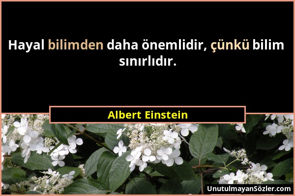 Albert Einstein - Hayal bilimden daha önemlidir, çünkü bilim sınırlıdır....