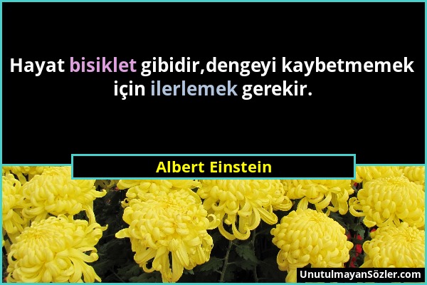 Albert Einstein - Hayat bisiklet gibidir,dengeyi kaybetmemek için ilerlemek gerekir....