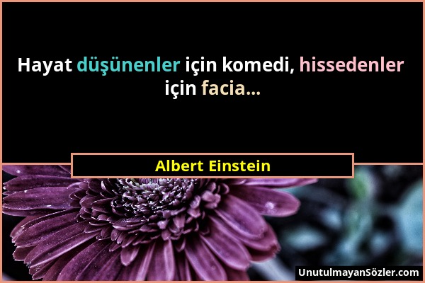 Albert Einstein - Hayat düşünenler için komedi, hissedenler için facia......