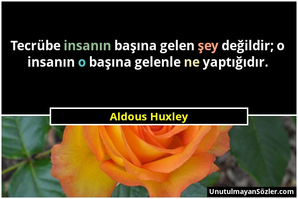 Aldous Huxley - Tecrübe insanın başına gelen şey değildir; o insanın o başına gelenle ne yaptığıdır....