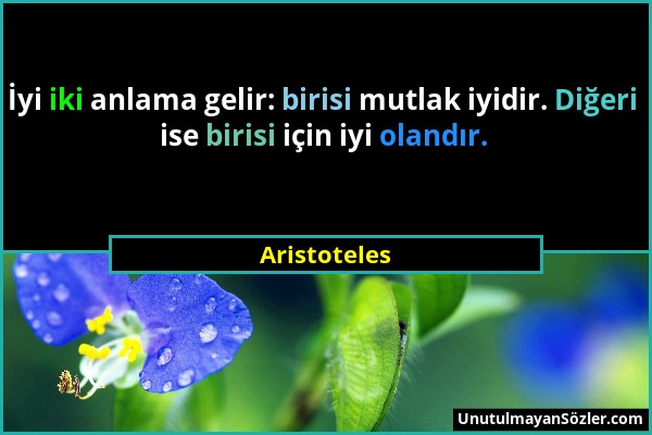 Aristoteles - İyi iki anlama gelir: birisi mutlak iyidir. Diğeri ise birisi için iyi olandır....