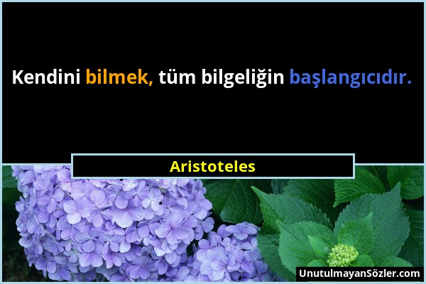 Aristoteles - Kendini bilmek, tüm bilgeliğin başlangıcıdır....