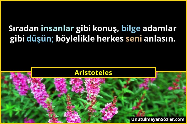 Aristoteles - Sıradan insanlar gibi konuş, bilge adamlar gibi düşün; böylelikle herkes seni anlasın....