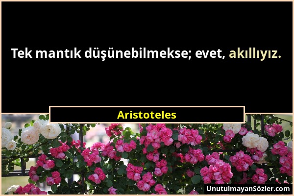 Aristoteles - Tek mantık düşünebilmekse; evet, akıllıyız....