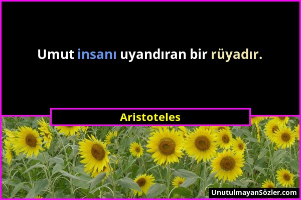 Aristoteles - Umut insanı uyandıran bir rüyadır....