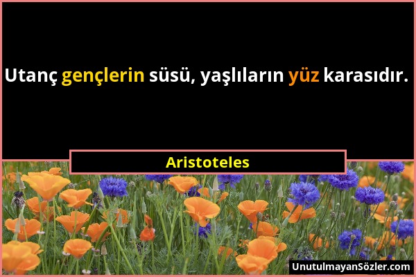 Aristoteles - Utanç gençlerin süsü, yaşlıların yüz karasıdır....