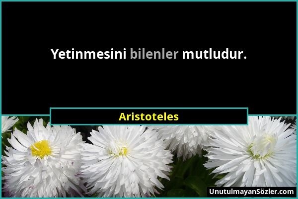 Aristoteles - Yetinmesini bilenler mutludur....