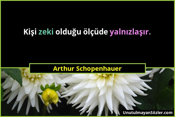 Arthur Schopenhauer - Kişi zeki olduğu ölçüde yalnızlaşır....