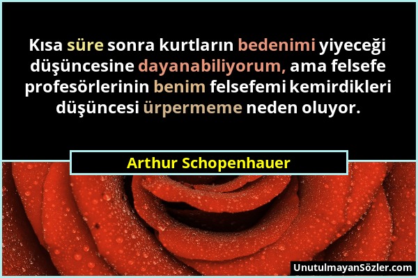 Arthur Schopenhauer - Kısa süre sonra kurtların bedenimi yiyeceği düşüncesine dayanabiliyorum, ama felsefe profesörlerinin benim felsefemi kemirdikler...