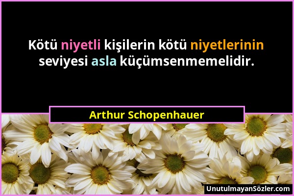 Arthur Schopenhauer - Kötü niyetli kişilerin kötü niyetlerinin seviyesi asla küçümsenmemelidir....