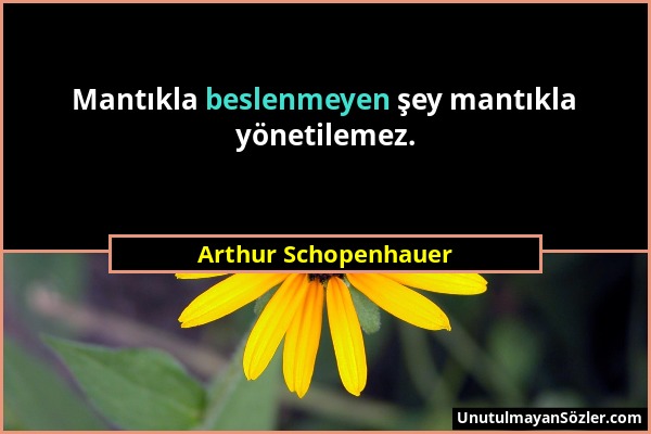 Arthur Schopenhauer - Mantıkla beslenmeyen şey mantıkla yönetilemez....