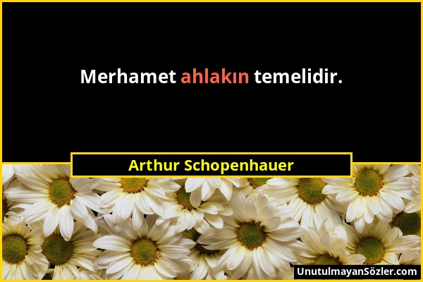 Arthur Schopenhauer - Merhamet ahlakın temelidir....