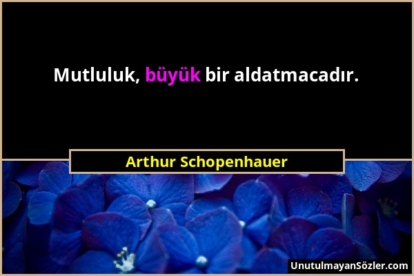 Arthur Schopenhauer - Mutluluk, büyük bir aldatmacadır....