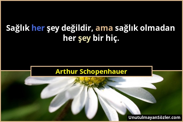 Arthur Schopenhauer - Sağlık her şey değildir, ama sağlık olmadan her şey bir hiç....