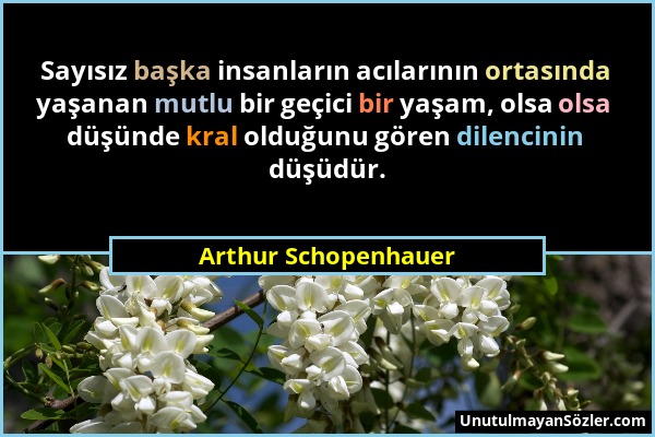 Arthur Schopenhauer - Sayısız başka insanların acılarının ortasında yaşanan mutlu bir geçici bir yaşam, olsa olsa düşünde kral olduğunu gören dilencin...