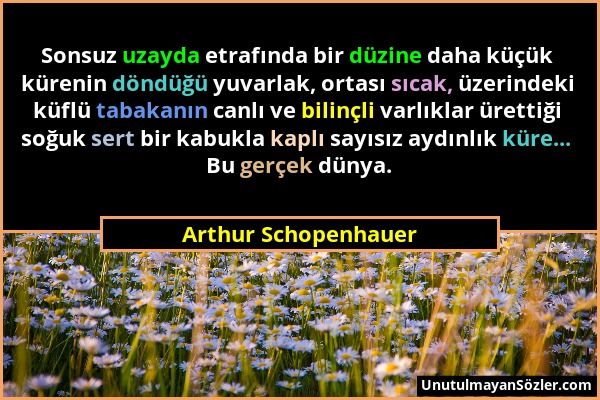 Arthur Schopenhauer - Sonsuz uzayda etrafında bir düzine daha küçük kürenin döndüğü yuvarlak, ortası sıcak, üzerindeki küflü tabakanın canlı ve bilinç...