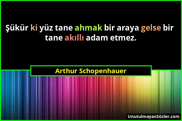 Arthur Schopenhauer - Şükür ki yüz tane ahmak bir araya gelse bir tane akıllı adam etmez....