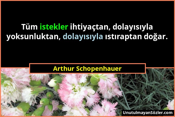 Arthur Schopenhauer - Tüm istekler ihtiyaçtan, dolayısıyla yoksunluktan, dolayısıyla ıstıraptan doğar....