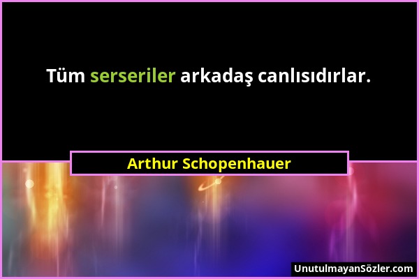 Arthur Schopenhauer - Tüm serseriler arkadaş canlısıdırlar....