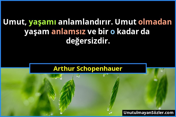 Arthur Schopenhauer - Umut, yaşamı anlamlandırır. Umut olmadan yaşam anlamsız ve bir o kadar da değersizdir....