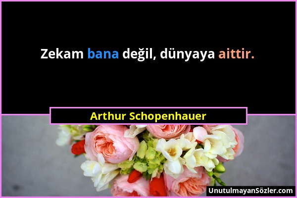 Arthur Schopenhauer - Zekam bana değil, dünyaya aittir....