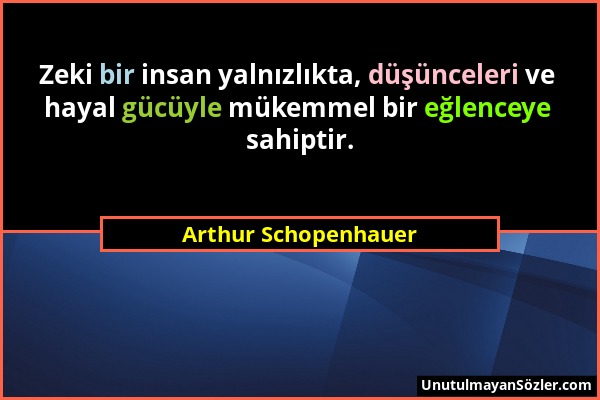 Arthur Schopenhauer - Zeki bir insan yalnızlıkta, düşünceleri ve hayal gücüyle mükemmel bir eğlenceye sahiptir....