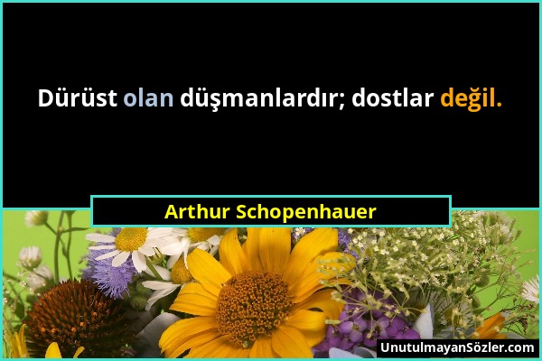 Arthur Schopenhauer - Dürüst olan düşmanlardır; dostlar değil....