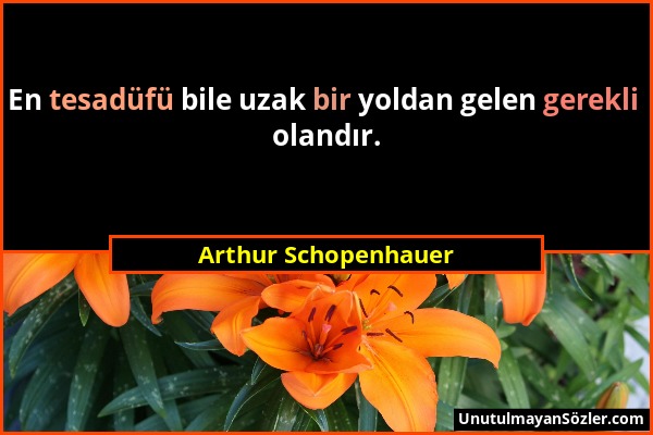 Arthur Schopenhauer - En tesadüfü bile uzak bir yoldan gelen gerekli olandır....