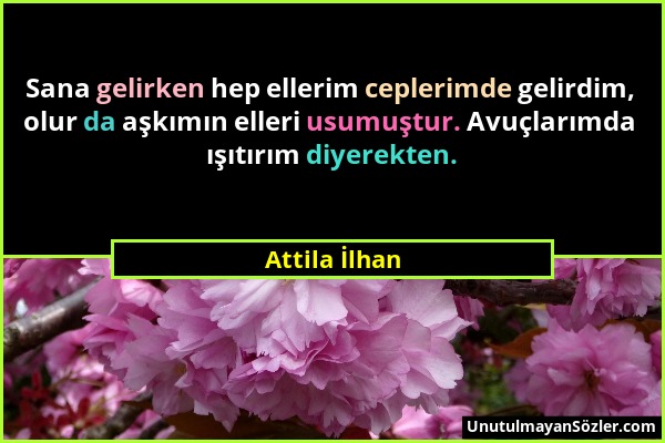 Attila İlhan - Sana gelirken hep ellerim ceplerimde gelirdim, olur da aşkımın elleri usumuştur. Avuçlarımda ışıtırım diyerekten....