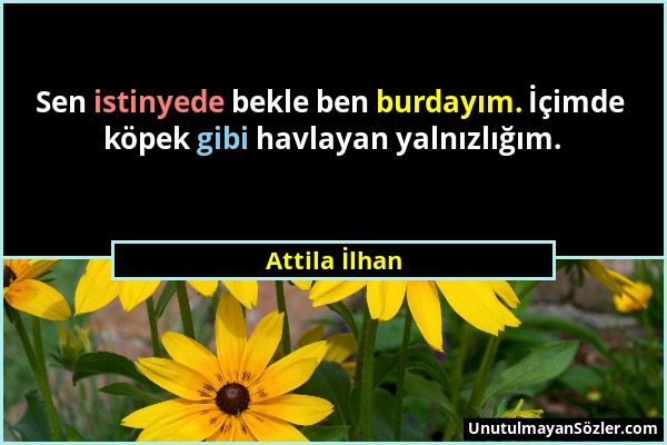 Attila İlhan - Sen istinyede bekle ben burdayım. İçimde köpek gibi havlayan yalnızlığım....