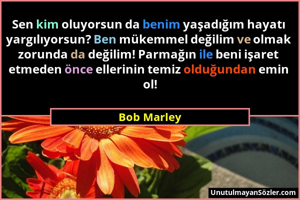 Bob Marley - Sen kim oluyorsun da benim yaşadığım hayatı yargılıyorsun? Ben mükemmel değilim ve olmak zorunda da değilim! Parmağın ile beni işaret etm...