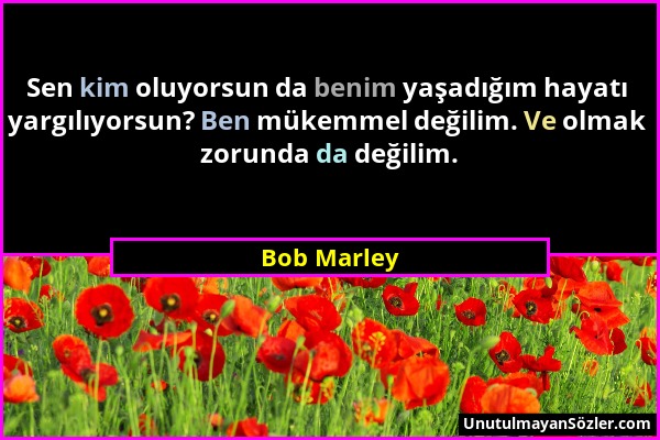 Bob Marley - Sen kim oluyorsun da benim yaşadığım hayatı yargılıyorsun? Ben mükemmel değilim. Ve olmak zorunda da değilim....