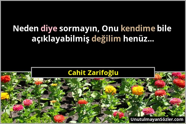 Cahit Zarifoğlu - Neden diye sormayın, Onu kendime bile açıklayabilmiş değilim henüz......